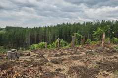 Fredy Henao - @fredyhenaoag