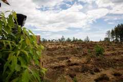 Ecos Disonanates - @Ecosdisonantes