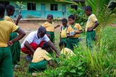 Ecos Disonanates - @Ecosdisonantes